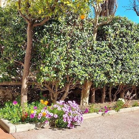 Rez-de-chaussée privatif spacieux 3* d'une villa centre ville Hyères Extérieur photo